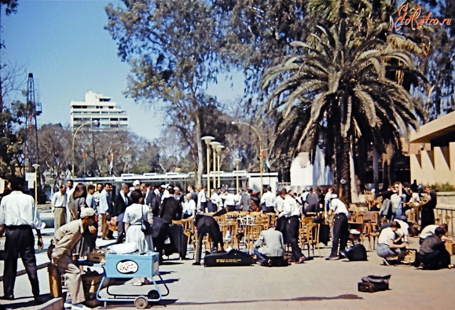 Каир - На открытии Всемирной сельскохозяйственной выставки в Каире, 1961: