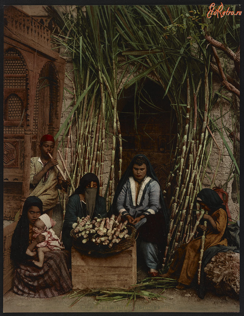 Каир - Продавцы сахарного тростника на улице Каира