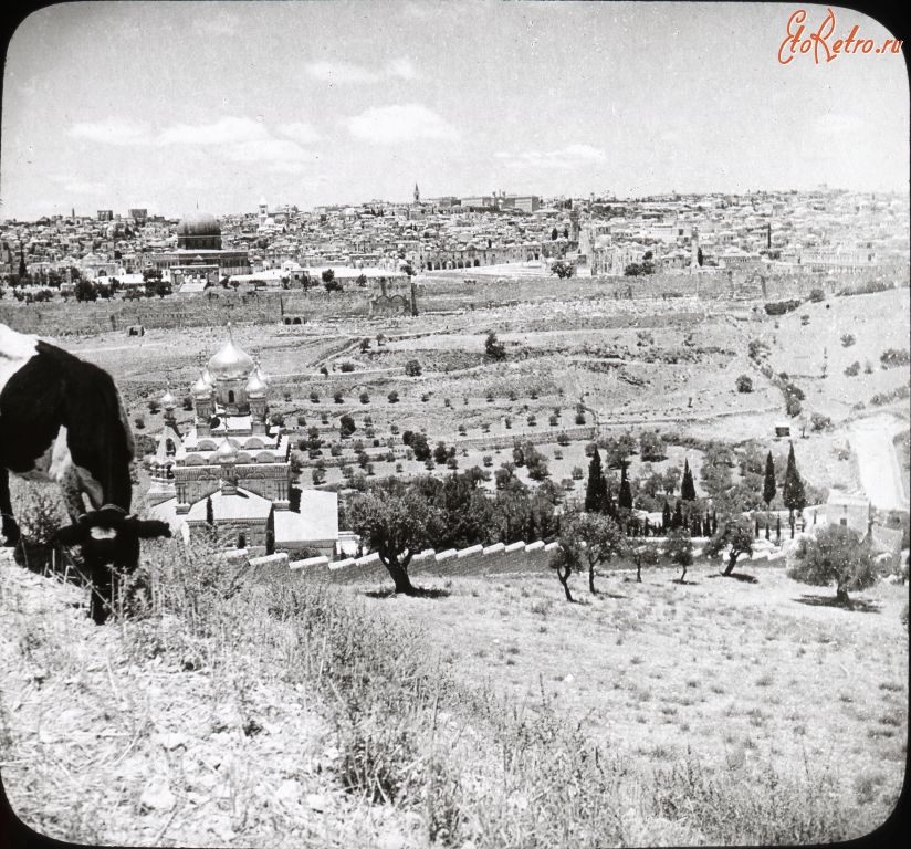 Израиль - View of Jerusalem from Mount of Olives Палестина , Иерусалимский округ , Иерусалим