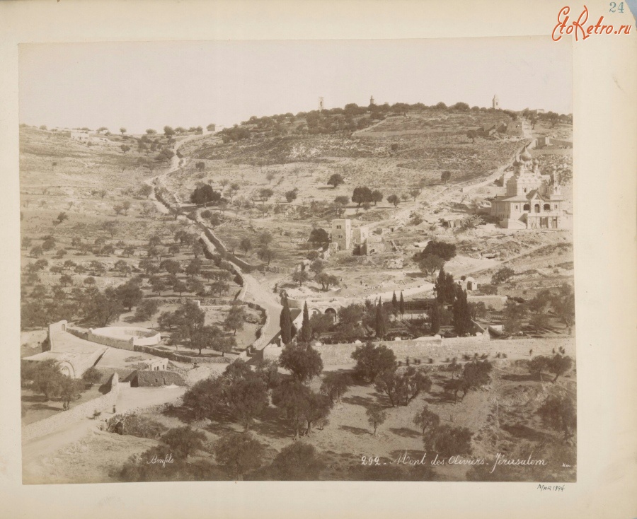 Израиль - Масличная гора в Иерусалиме, 1894