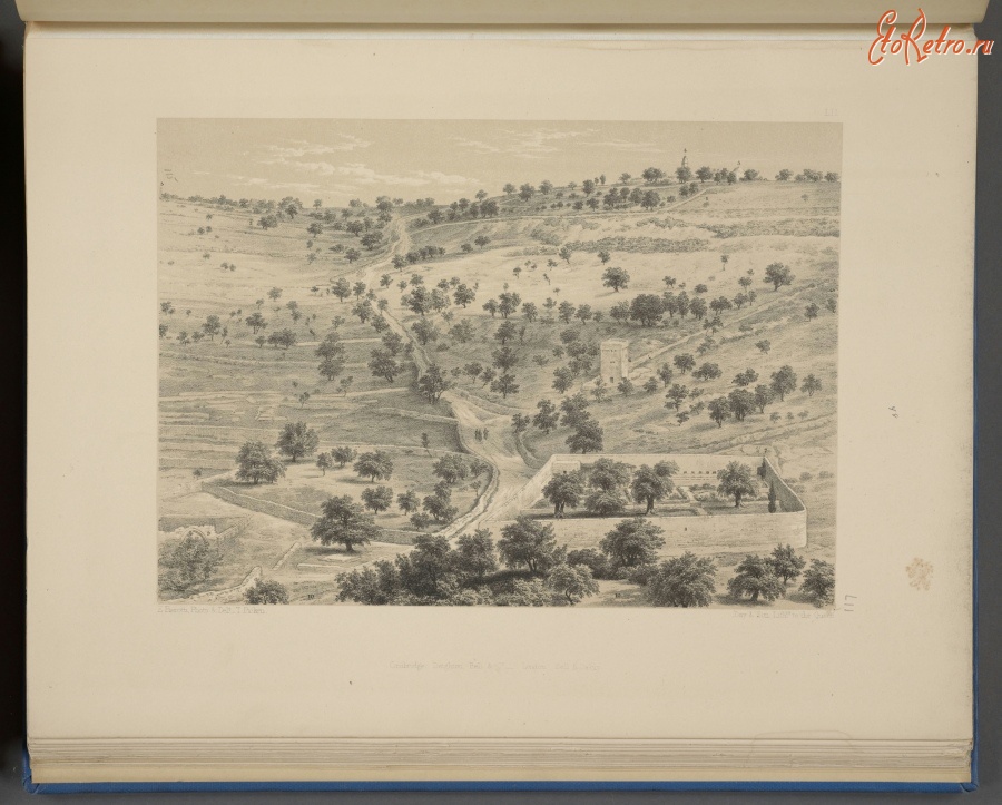 Израиль - Элеонская гора и Гефсиманский сад, 1864