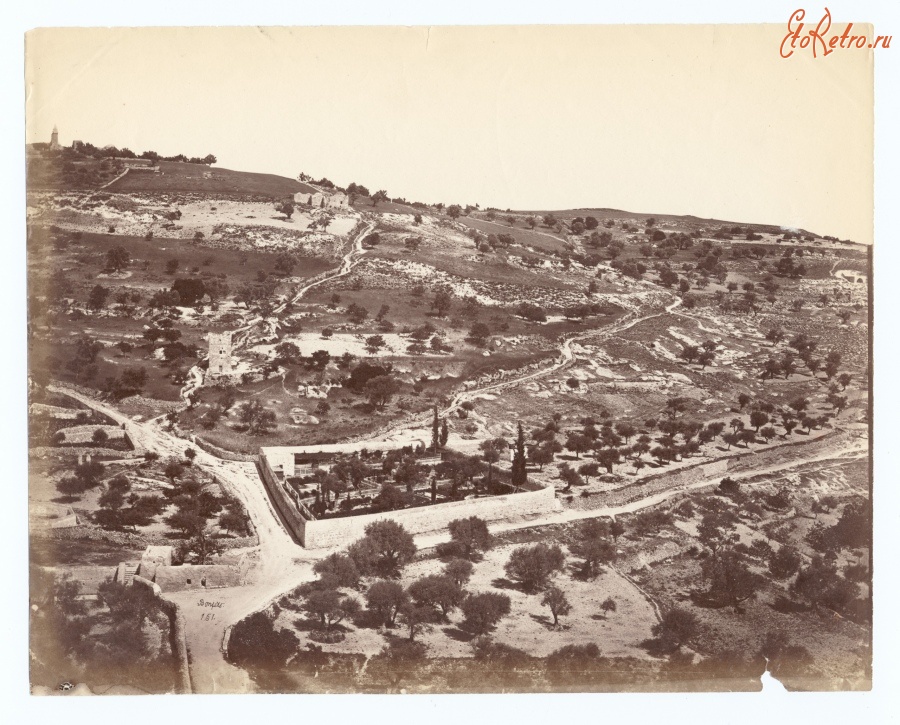 Израиль - Вид Масличной горы в Иерусалиме, 1880-1885
