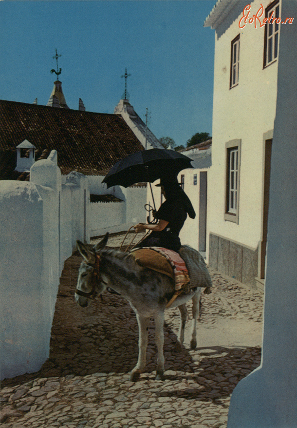 Португалия - Крестьянка на ослике на деревенской улице в Алгарви
