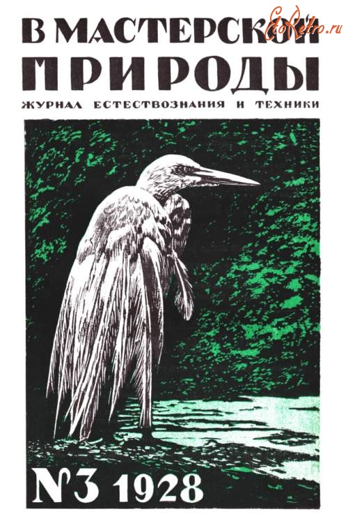 Мастерская природы. Журнал в мастерской природы. 