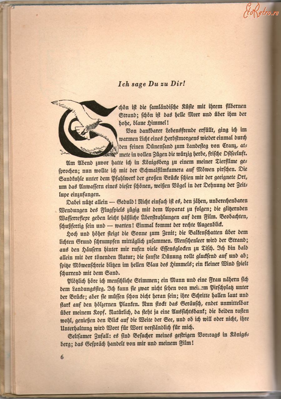 Пресса - Eine Seite aus dem Buch .