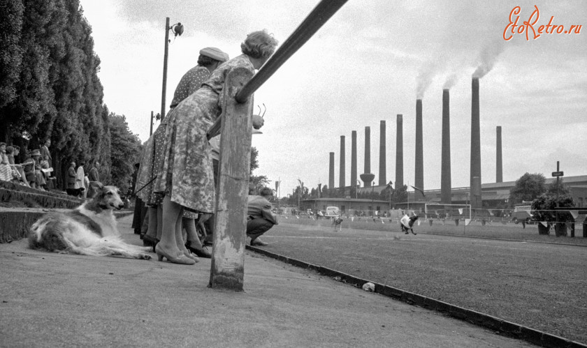 Бохум - Windhundrennen 1961 in Bochum