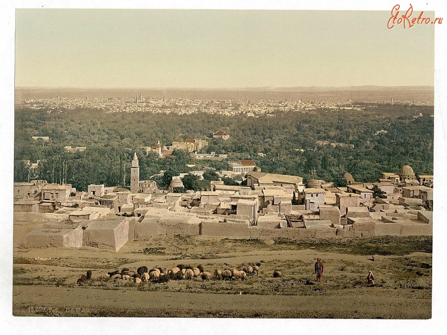 Сирия - Дамаск в 1890 — 1900 году. Общая панорама.