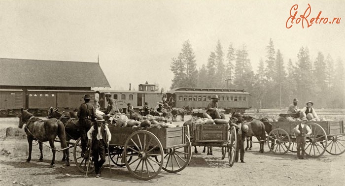 Железная дорога (поезда, паровозы, локомотивы, вагоны) - Фермеры с первыми дынями  на ст.Грантс Пасс,штат Орегон