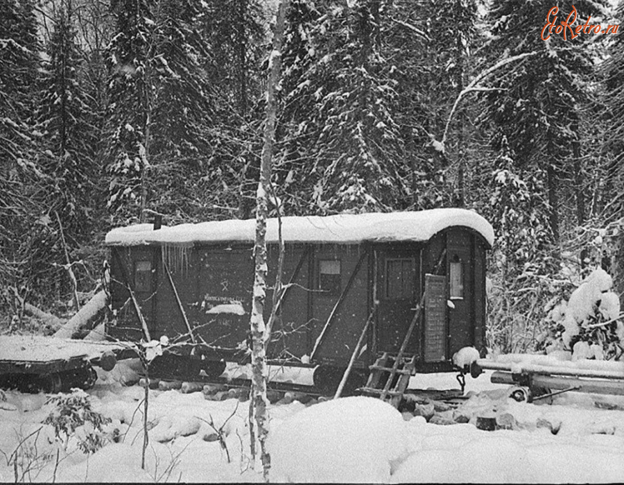 Железная дорога (поезда, паровозы, локомотивы, вагоны) - Вагон-столовая узкоколейной ж.д.