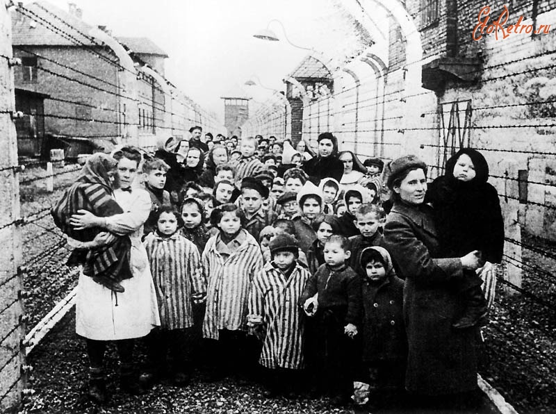 Войны (боевые действия) - Освобожденные дети из концлагеря Освенцим.