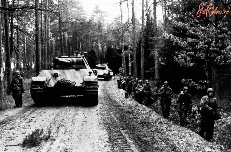 Войны (боевые действия) - Немецкие панцергренадеры и танки Pz.Kpfw. V «Пантера» на марше в Нижней Силезии.