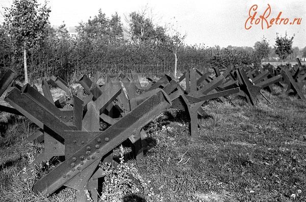 Войны (боевые действия) - Ежи на границе Восточной Пруссии. Август 1944 года.