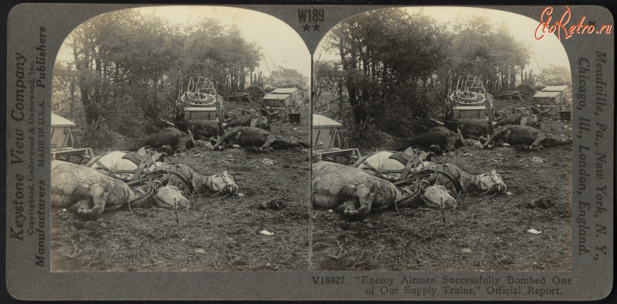 Войны (боевые действия) - Армейский обоз, уничтоженный врагом, 1914-1918