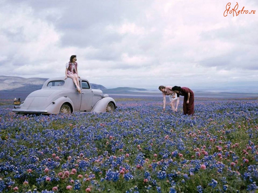 Штат Калифорния - Девушки,цветы,автомобиль