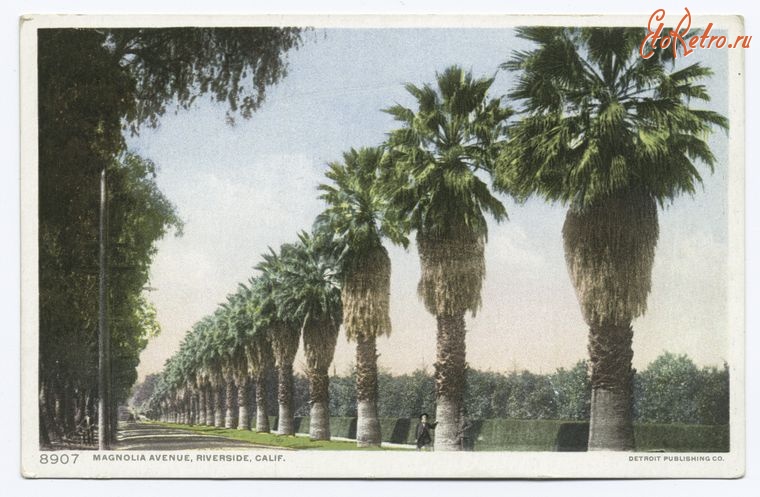 Штат Калифорния - Риверсайд. Магнолия Авеню, 1900-1906