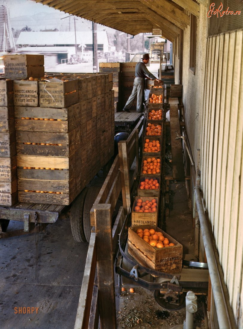 Штат Калифорния - Завод по упаковке апельсинов