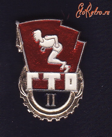 Медали, ордена, значки - ГТО 2-й степени