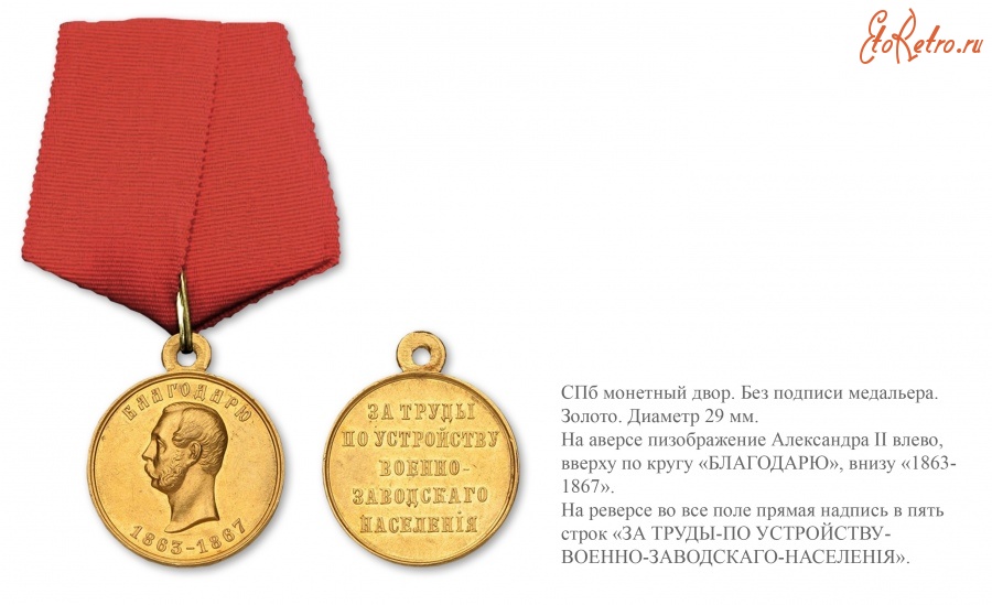 Медали, ордена, значки - Наградная медаль «За труды по устройству военно-заводского населения» (1869 год)