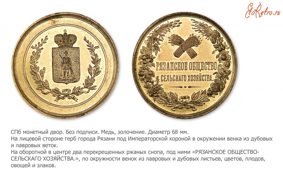 Медали, ордена, значки - Медаль Рязанского сельскохозяйственного общества