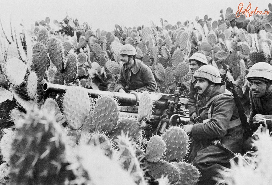 Военная техника - Итальянские артиллеристы в кактусовых зарослях Туниса