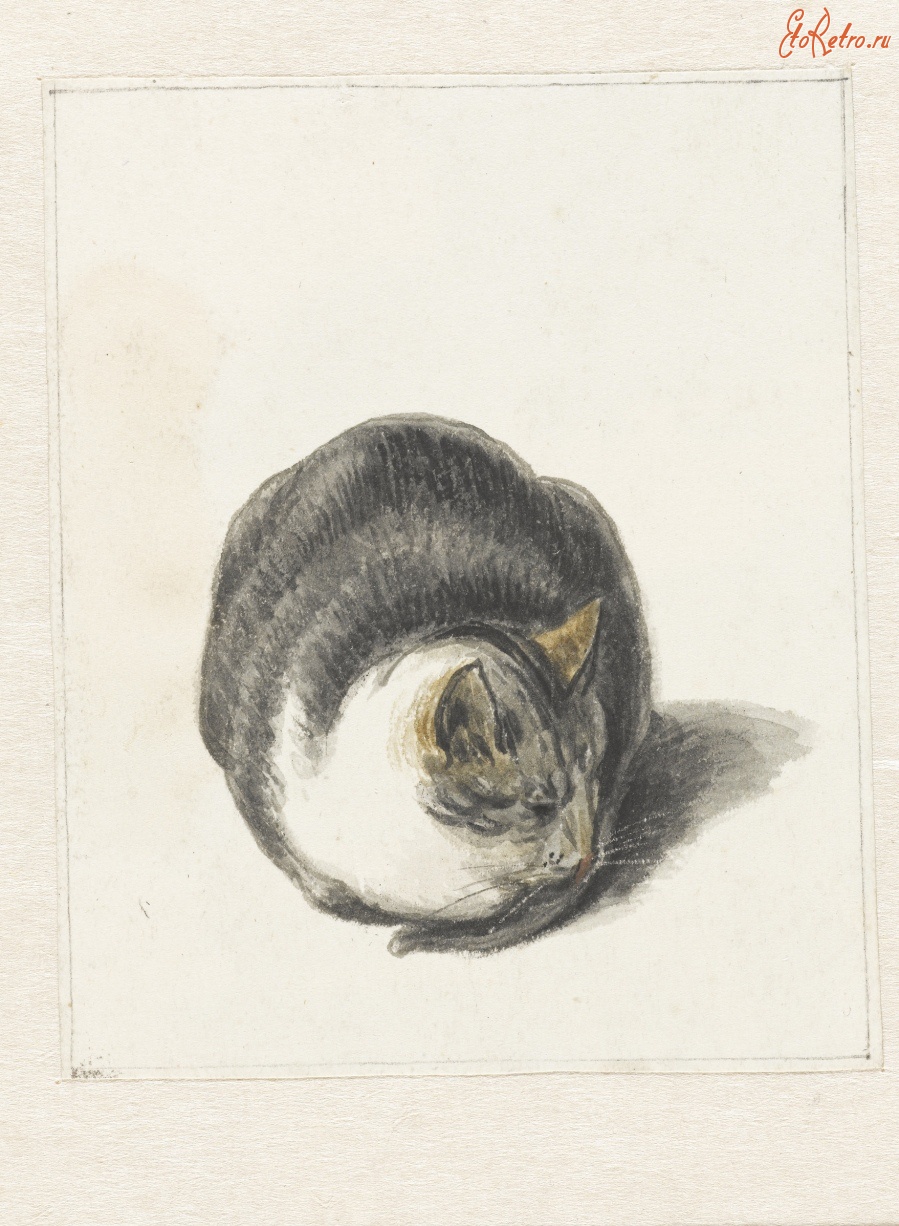 Картины - Кошка, 1799-1837