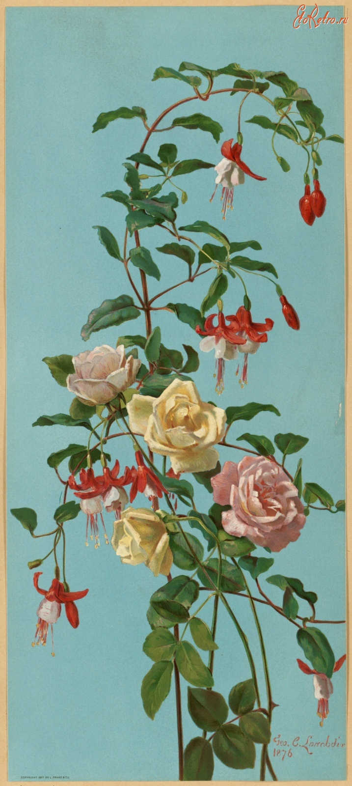 Картины - Розы и фуксии