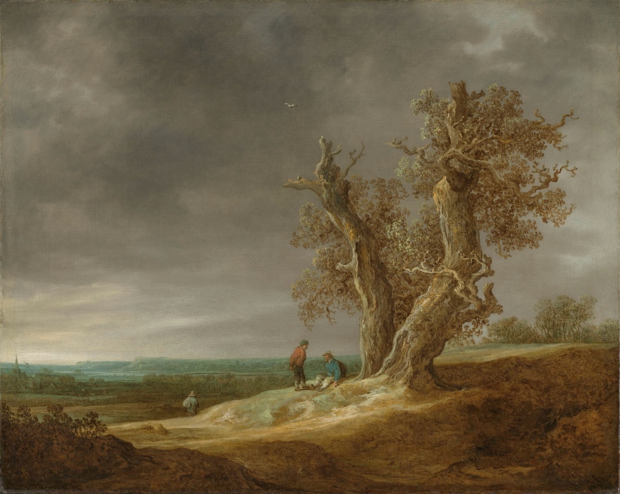 Картины - Рейксмузеум в Амстердаме. Дальний вид с двумя дубами. 1641