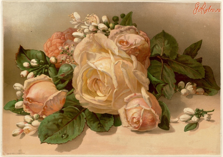 Картины - Нежные розы и белые бутоны