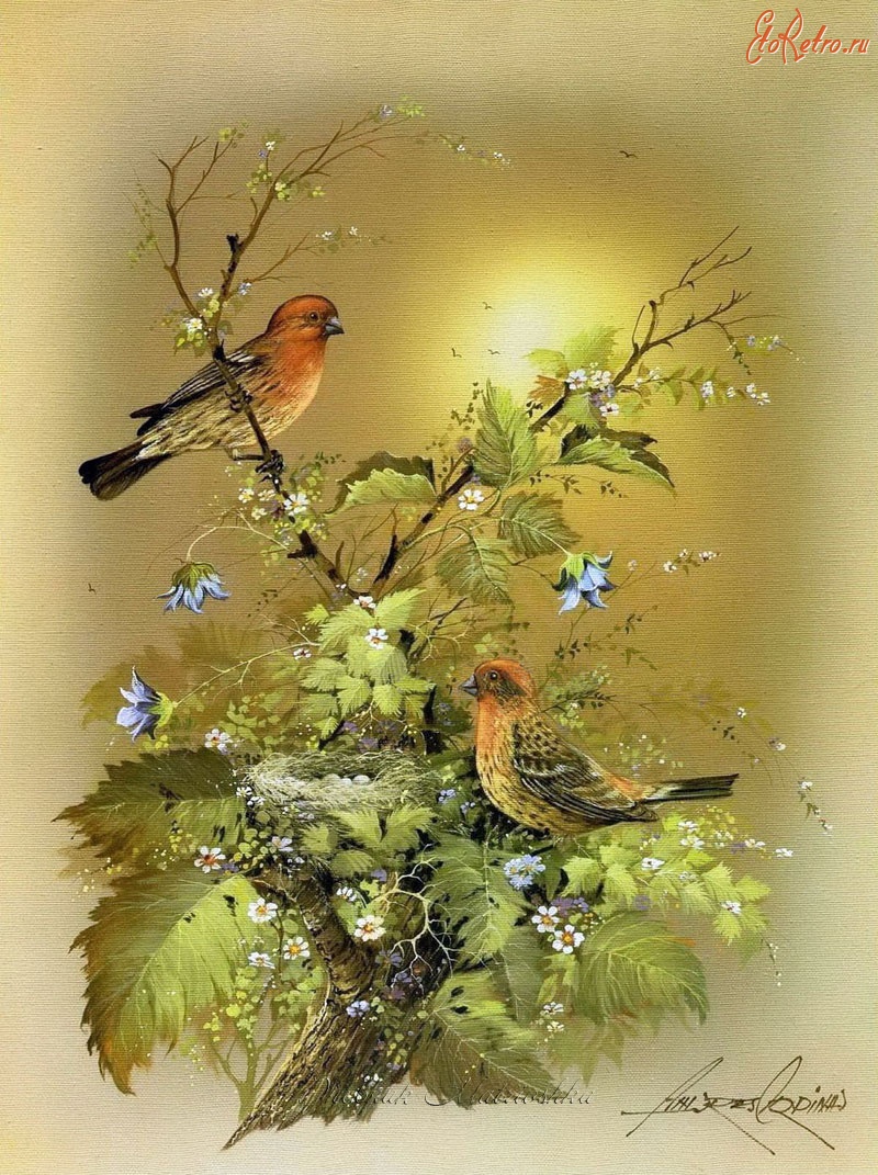 Картины - Картины  художника Андреса Орпинаса. Птички.