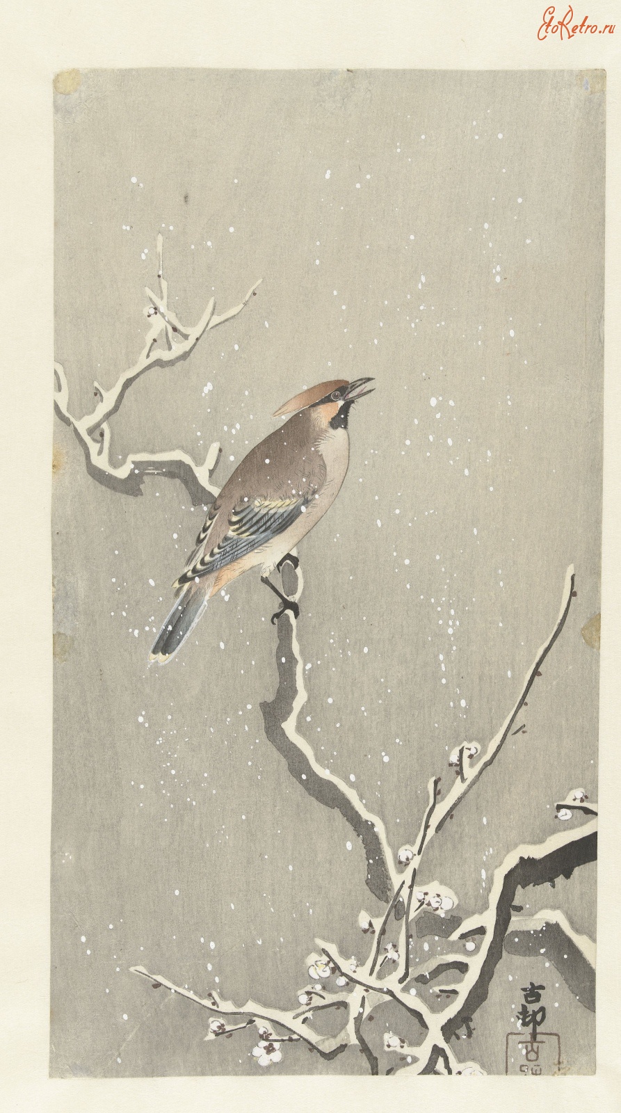 Картины - Хищная птица под снегом