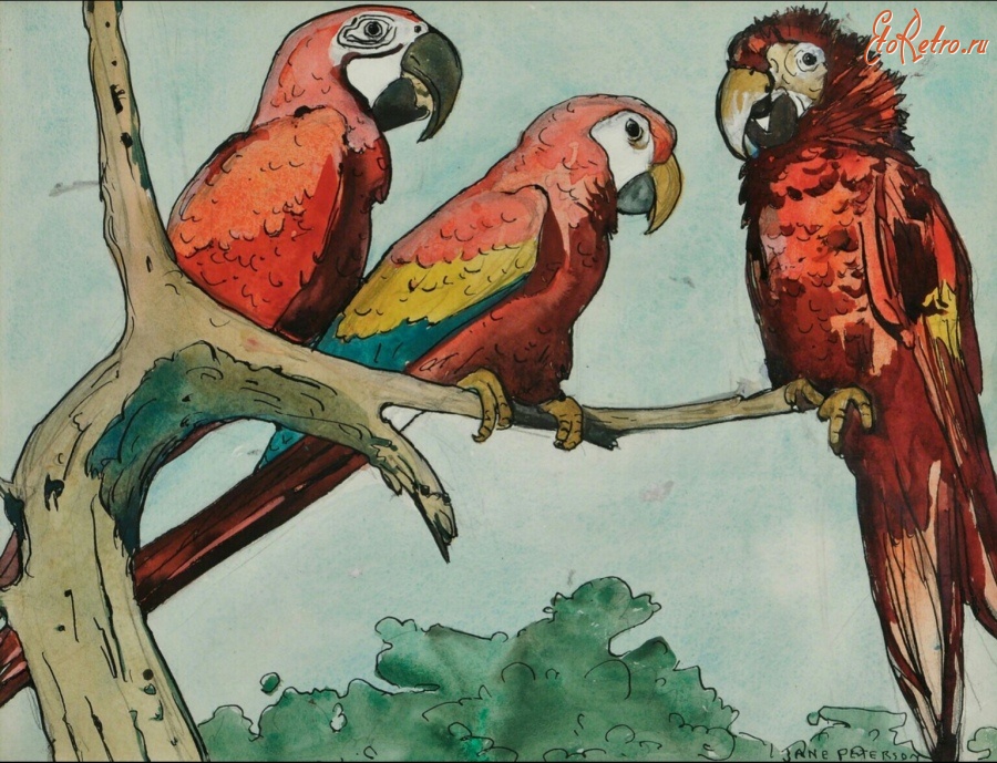 Картины - Три попугая