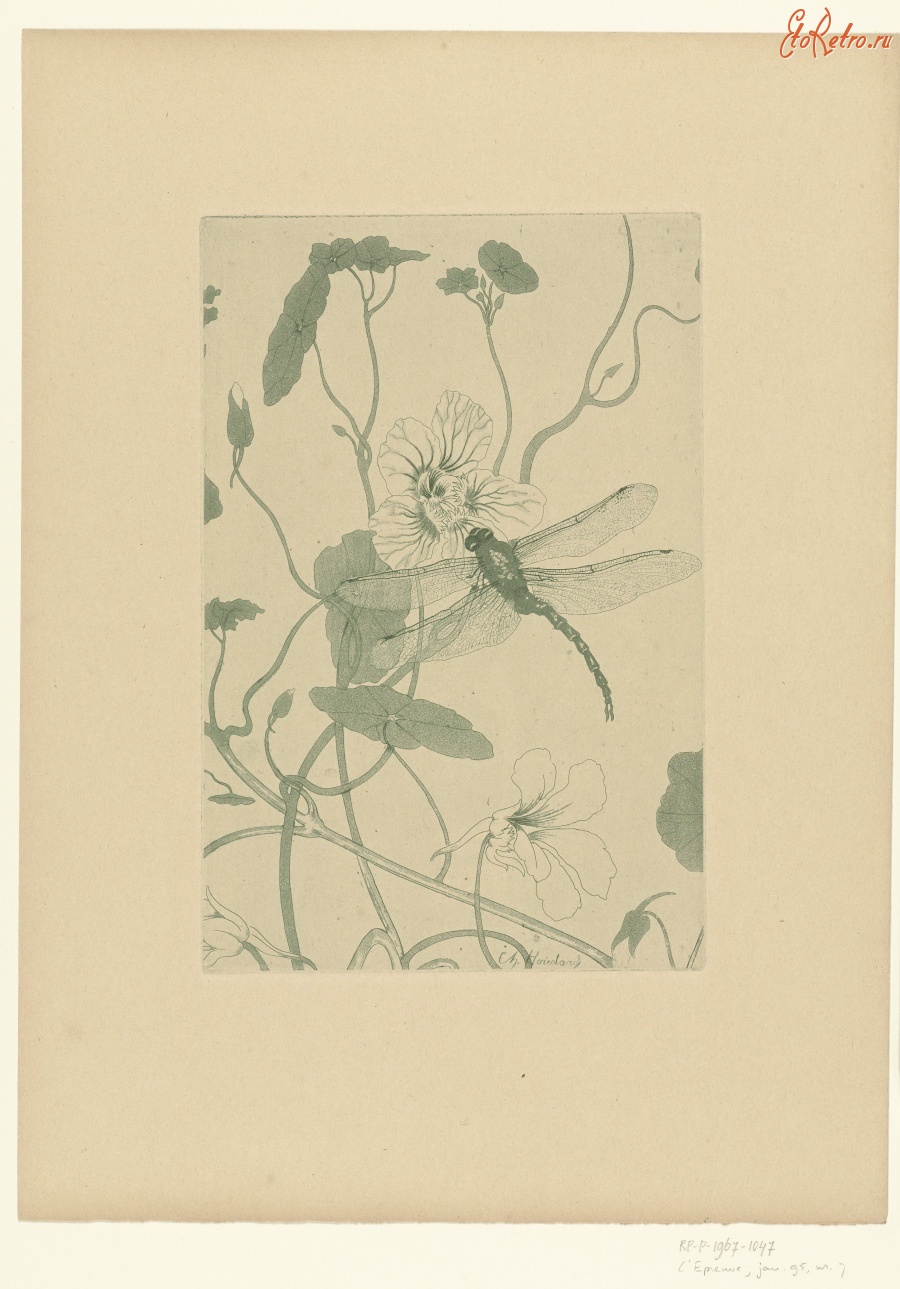 Картины - Шарль Луи Годар. Стрекоза на цветке индийской вишни