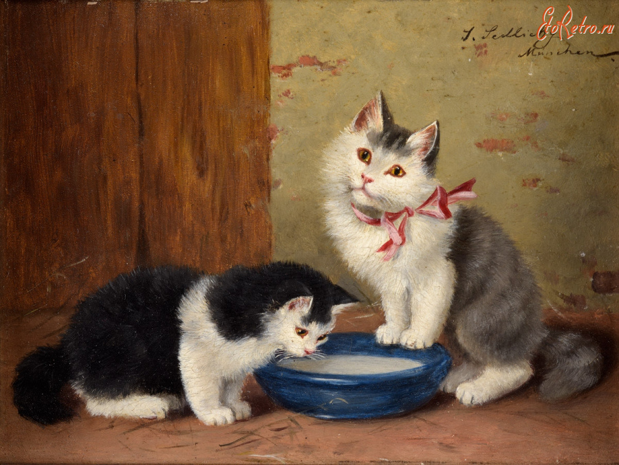 Картины - Софи Сперлих, Два котёнка и миска молока