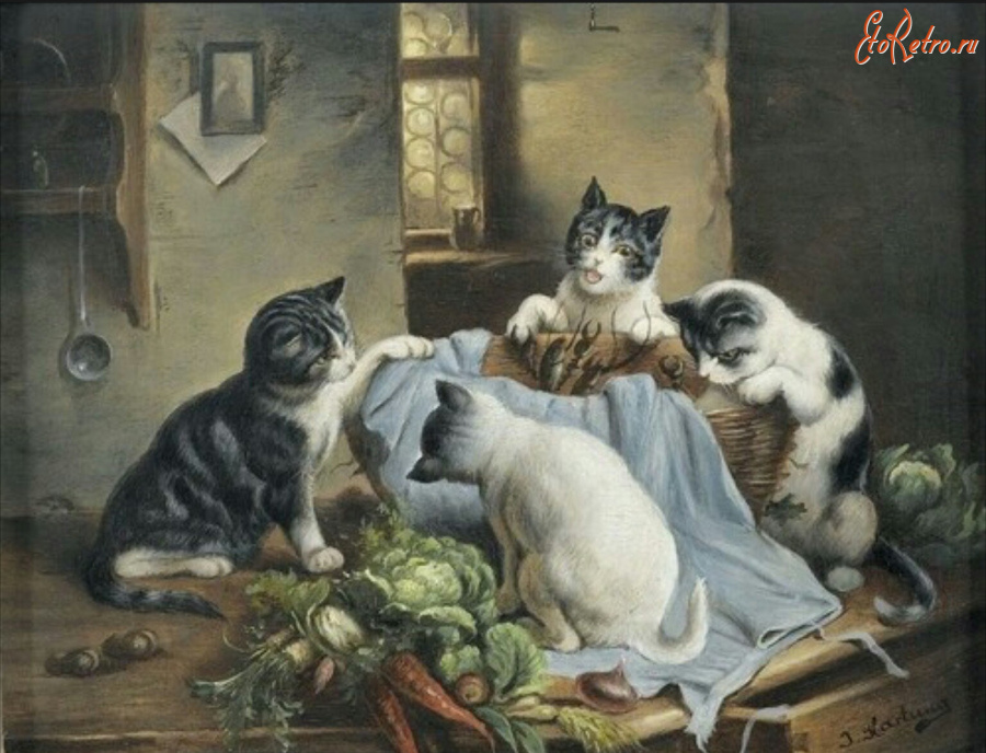 Картины - Дж. Хартунг, Любопытные котята
