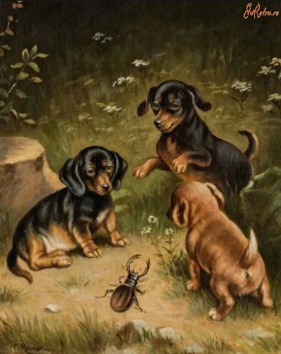 Картины - Карл Рейхерт. Три щенка таксы и жук
