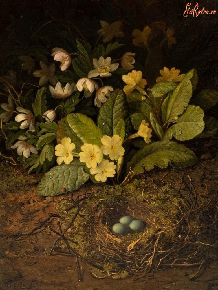 Картины - Джон Фитц Маршалл. Жёлтые примулы и птичье гнездо