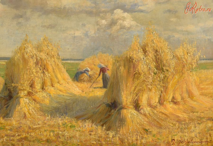 Картины - Генрих Шлотерманн. Сбор урожая в Дарсе
