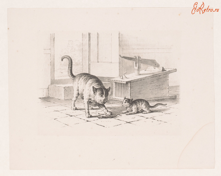 Картины - Питер де Гехе. Мышеловка и кошка с котёнком