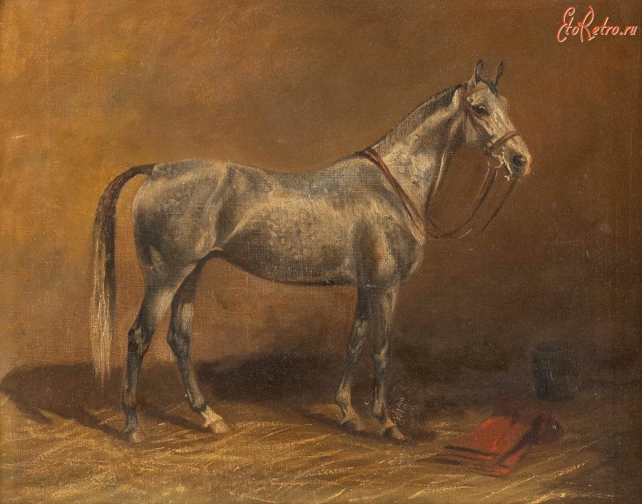 Картины - Вильгельм Вестероп. Серая в яблоках лошадь в конюшне
