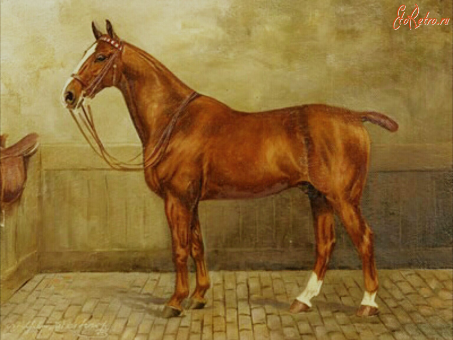 Картины - Вильгельм Вестероп. Конный портрет. Ганноверская рыжая