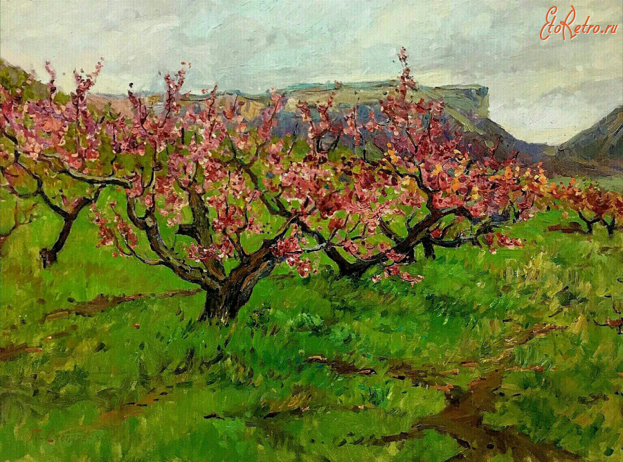 Картины - Пётр Столяренко. Весна в Крыму. Цветущий миндаль
