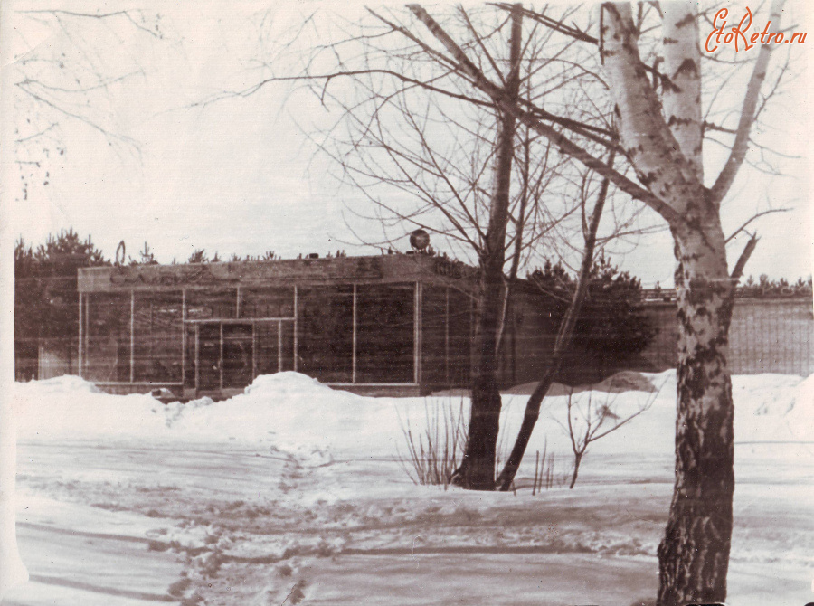 Тула - Кафе Ёлочка в ЦПКиО