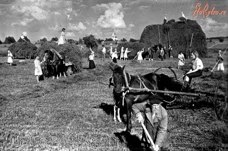 Ивановская область - Уборка сена колхозниками села Новоселки