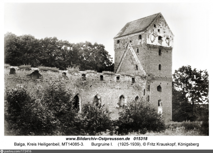 Калининградская область - Руины замка Бальга / Balga. Burgruine