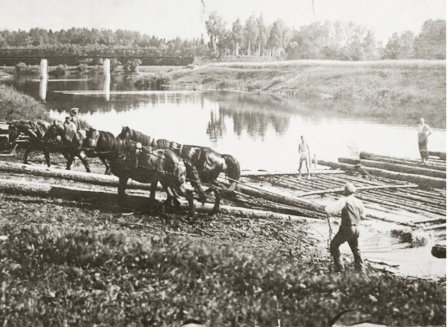 Калининградская область - Gross Lenkenau. Scheschuppe, Abbauen eines Langholzflosses durch das Saegewerk Kroehnert.