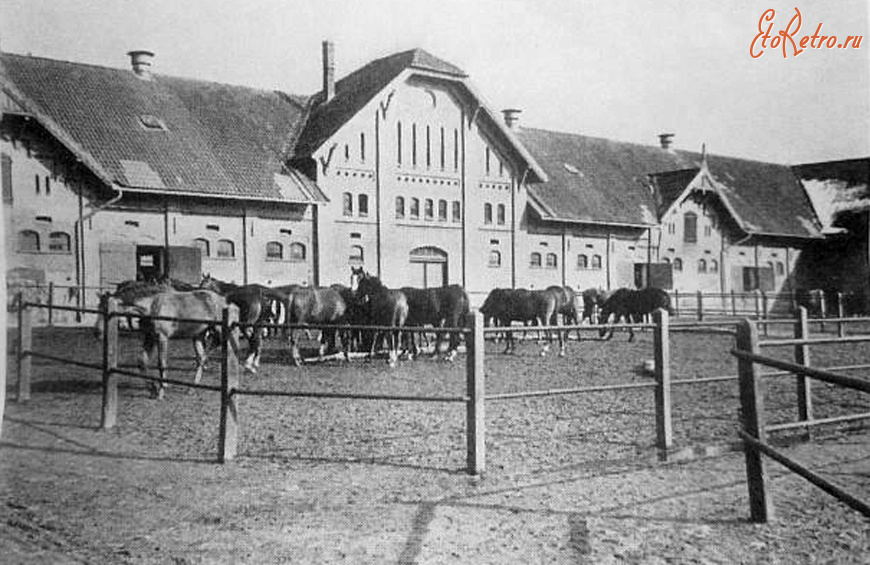 Калининградская область - Landgestuet Gudwallen.