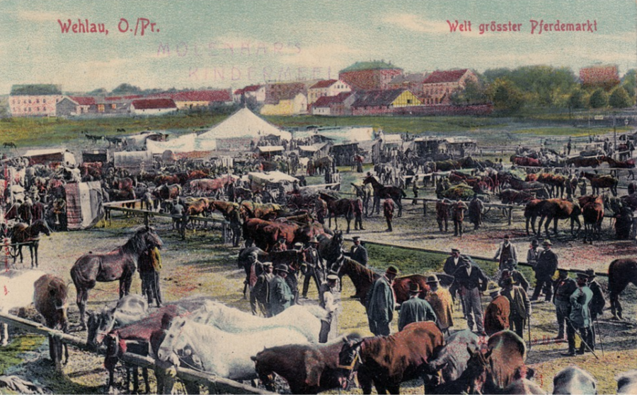 Калининградская область - Wehlau, groesster Pferdemarkt der Welt