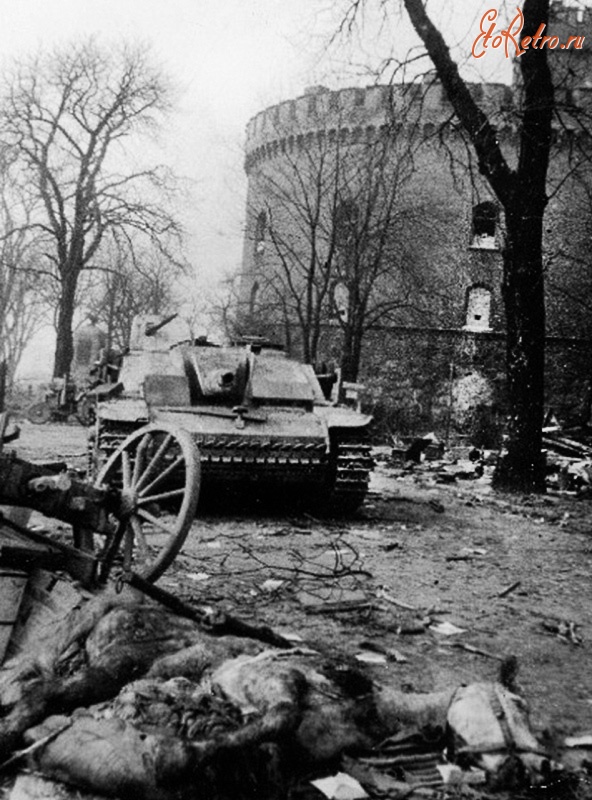 Калининград - Кёнигсберг после боя. Апрель 1945 г.