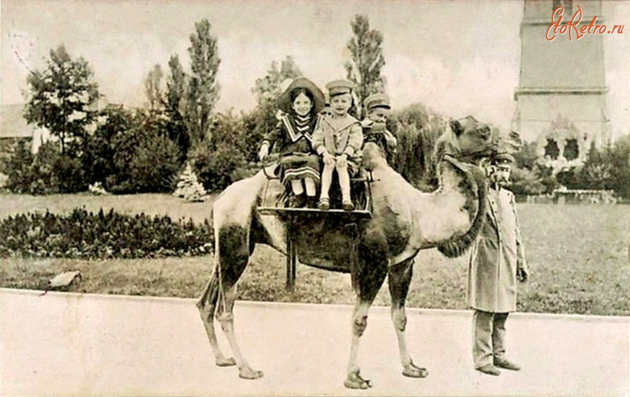 Калининград - Кёнигсбергский зоопарк. Катание детей на верблюде.
