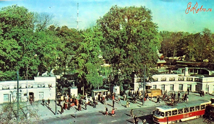 Калининград - Вход в зоопарк и остановка трамвая маршрута № 4 на проспекте Мира